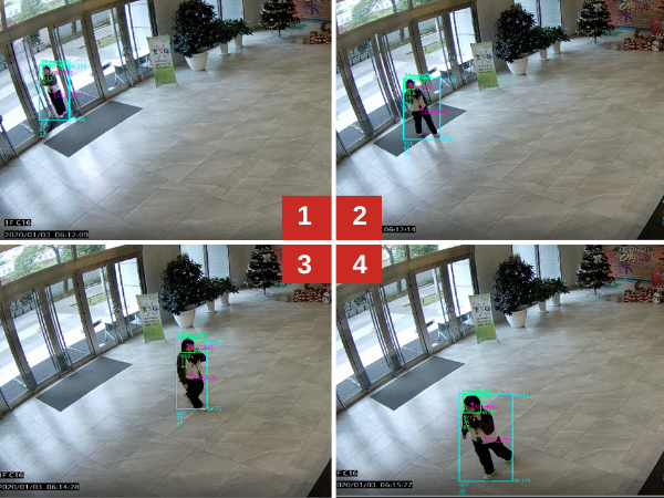 People Counting System (Pcount)